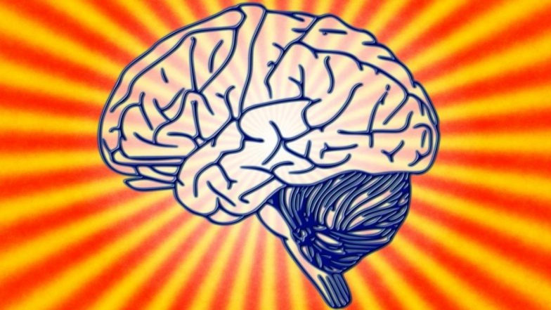 Shaking Head to Remove Water From Ears Causes Brain Damage