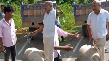 Kota: Sweeper Beaten, Abused by Sangod Nagar Palika Chairman For Carrying Dead Cow; Watch Video