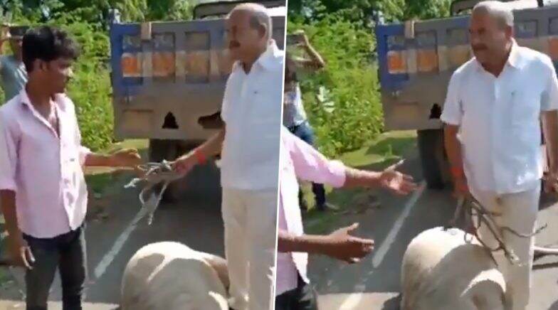 Kota: Sweeper Beaten, Abused by Sangod Nagar Palika Chairman For Carrying Dead Cow; Watch Video