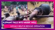 Elephant Falls Into Muddy Well, Locals & Forest Officials Join Hands To Rescue The Jumbo