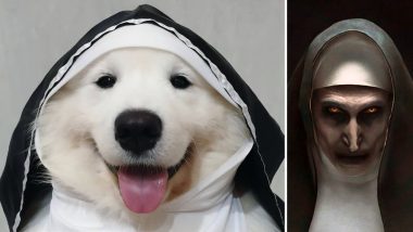 Halloween 2019 Costume Ideas for Dogs: Dog Dressed As The Nun Is Best Last-Minute Hack to Dress Your Pet for the Spookiest Festival (View Adorable Pics)