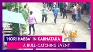 Karnataka: Locals Gather To Witness 'Hori Habba', A Bull-Catching Event In Shivamogga
