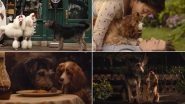 Lady and the Tramp New Trailer: We Are in for a Treat with This Photorealistic Story of Doggos (Watch Video)