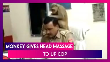 Monkey Sits On UP Cop’s Shoulder, Gives Head Massage, Funny Video Goes Viral