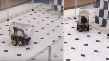 Rats Drive Tiny Electric Cars to Lower Their Stress Levels, Here’s How These ‘Stuart Littles’ Were Taught Driving (Watch Viral Video)