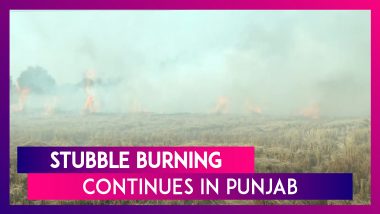 Stubble Burning Continues In Punjab