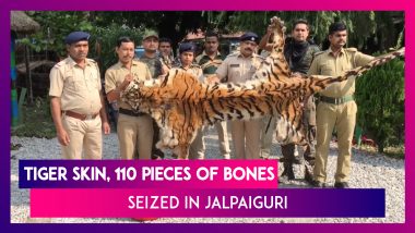 14-Feet-Long Royal Bengal Tiger Skin Seized In Jalpaiguri, Two Bhutanese Nationals Arrested