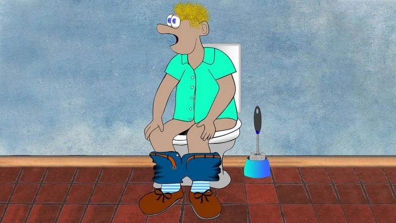 Using Mobile or Reading Your Favorite Book in Toilet? Beware! China's Smart Public Toilets Will Only Allow 15 Mins to Finish Your Business