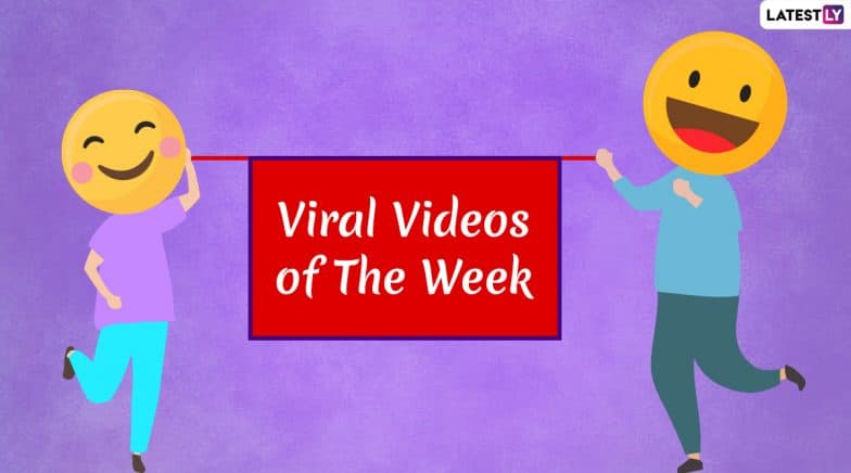 We look at seven videos that has gone viral this week. 