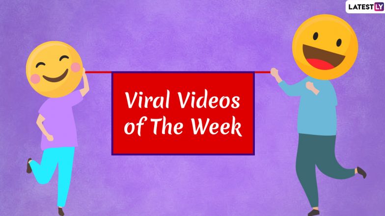 Viral Videos of the Week: From Toddler Complaining About His Mom to Indian Tourist’s Disgraceful Act, Watch Seven Clips That Surfaced Online