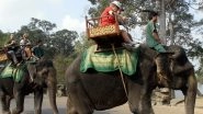 Cambodia's Popular Tourist Spot Angkor Temples Will Ban Elephant Rides From Next Year