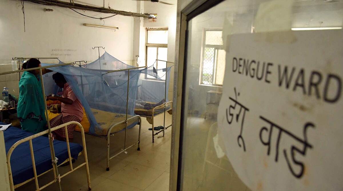 Dengue in Bihar: 144 Patients Test Positive in Muzaffarpur, Fogging Done Across 52 Locations in City Dengue in Bihar: 144 Patients Test Positive in Muzaffarpur, Fogging Done Across 52 Locations in City