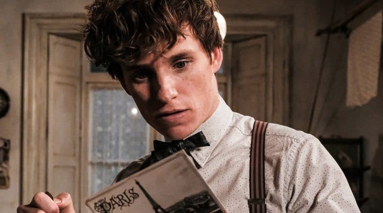 Fantastic Beasts 3 to Roll in Brazil on Spring 2020