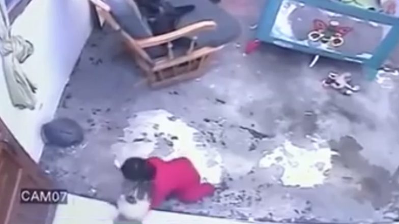 Cat Saves Baby’s Life in the Most Dramatic Way! Watch Viral Video of Infant Being Saved From Falling off a Flight of Stairs