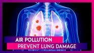 Delhi Air Pollution: Ways to Prevent Further Lung Damage And Reduce Cancer Risk