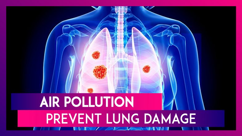 Delhi Air Pollution: Ways to Prevent Further Lung Damage And Reduce Cancer Risk
