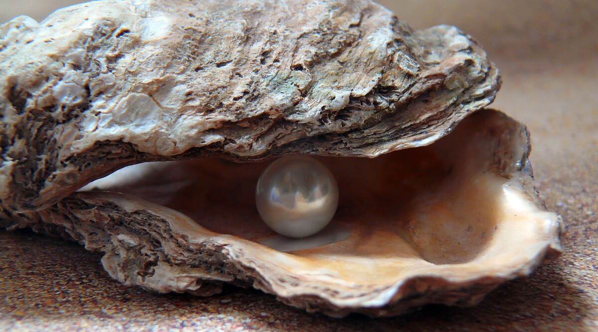 STOP Insterting 'Detox Pearls' Into The Vagina To 'Clean' It; Here's What You Need To Know STOP Insterting 'Detox Pearls' Into The Vagina To 'Clean' It; Here's What You Need To Know