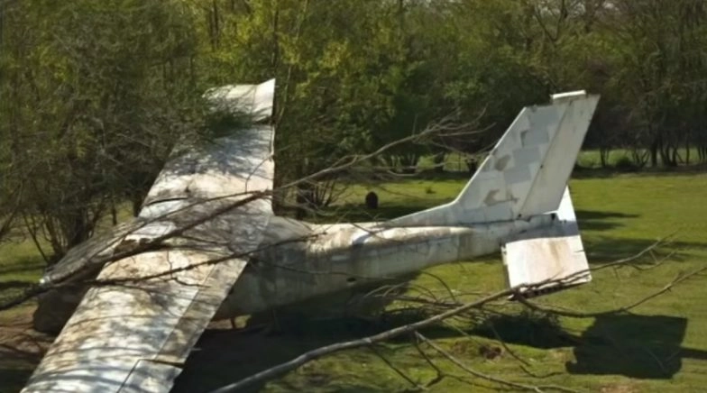 Gender Reveal Stunt Goes Wrong! Plane With 1324 Litres of Pink Water Crashes in Texas