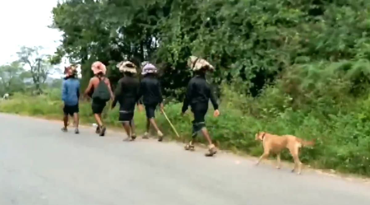 Karnataka: Stray Dog Follows Sabarimala Devotees For Over 500 Kms; Pilgrims Say It’s a New Experience; Watch Video Karnataka: Stray Dog Follows Sabarimala Devotees For Over 500 Kms; Pilgrims Say It’s a New Experience; Watch Video