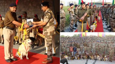 CISF Dogs, Who Protected Delhi Metro, Get Emotional Farewell on Retirement Day, Receive Medals, Salutes, Hugs And Selfies