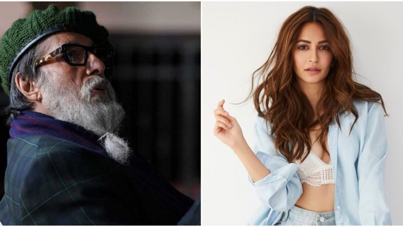 Kriti Kharbanda's Starry Tantrums are the Reason why She was Ousted from Amitabh Bachchan and Emraan Hashmi's Chehre?