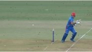 &lsquo;Insects&rsquo; Attack Afghanistan vs West Indies 2nd ODI Match at Lucknow, Pitch Invaders Refuse to Leave Ground