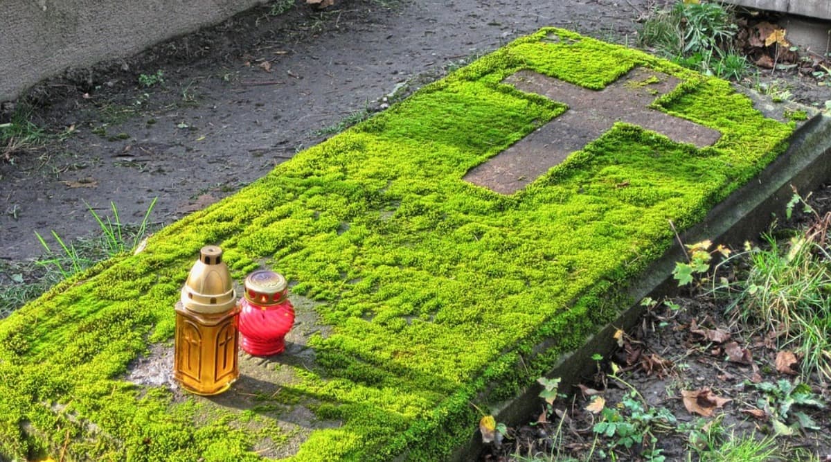 All Souls' Day 2019: History, Customs, Beliefs And Facts Related to Observance Following All Saints' Day All Souls' Day 2019: History, Customs, Beliefs And Facts Related to Observance Following All Saints' Day