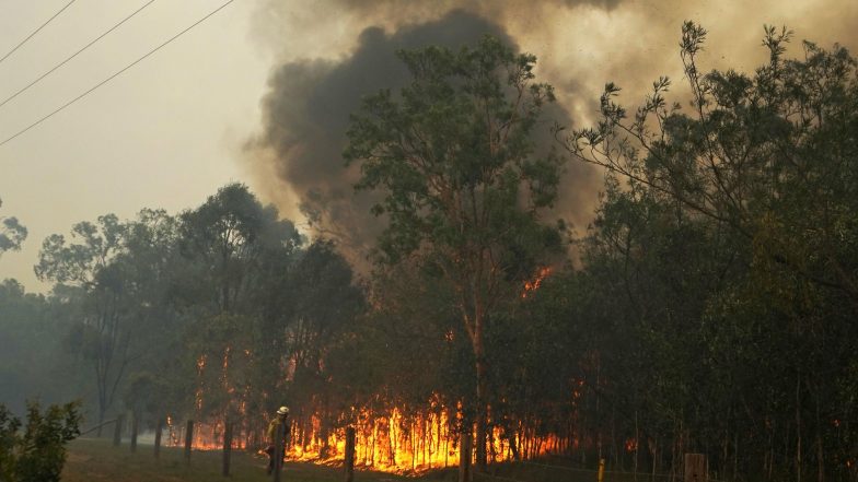 Queensland Bushfires: Australia State Declares Fire Emergency After 150 Homes Lost