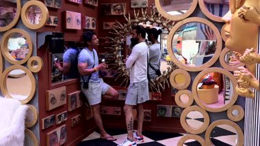 Bigg Boss 13 Day 44 Synopsis: Vishal Aditya Singh Becomes the Game Changer of the Captaincy Task!