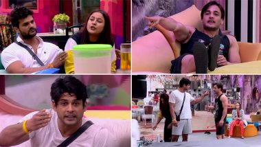 Bigg Boss 13 Day 45 Highlights: Sidharth Shukla vs Asim Riaz, Devoleena Bhattacharjee Blasts at Hindustani Bhau, and More, Tune In to Find Out!