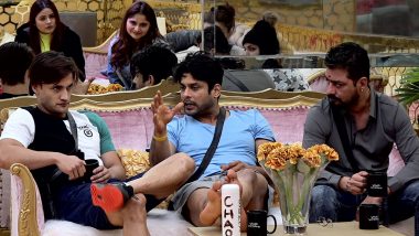 Bigg Boss 13 Day 43 Synopsis: Is It The End of Sidharth Shukla and Asim Riaz's Friendship?