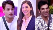 Bigg Boss 13: Gauahar Khan Comes Out in Support of Asim Riaz After Paras Chhabra Takes a Jibe at His Financial Status