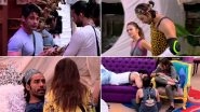 Bigg Boss 13 Day 44 Highlights: Demon Vishal Aditya Singh Goes the Neutral Way, Neither Supports Sidharth Shukla nor Rashami Desai