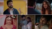 Broken But Beautiful Season 2 Trailer: Vikrant Massey and Harleen Sethi's Intense, Romantic Web-Series Is Sure To Be On Your Binge-Watch List