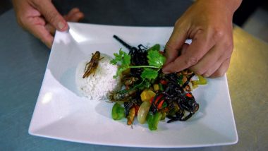 Cambodia 'Bug Cafe' Serves Insects to Customers! From Ant Spring Rolls to Silkworm Taro Croquettes, Eatery Offers Crawling Creatures on Plate