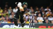 Australia vs Sri Lanka 3rd T20I 2019: David Warner Fifty Helps AUS Register 3-0 Sweep Over SL