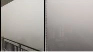 Delhi Air Pollution: Residents Share Pictures and Videos of Smog and Zero Visibility as NCR Continues to Struggle With Severe Air Quality (View Pics)