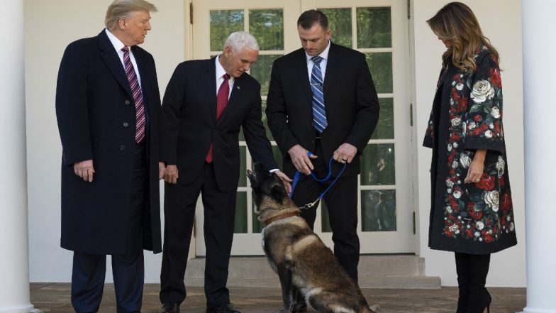 Conan,US Dog Who Helped in Raid That Killed Abu Bakr al-Baghdadi, Gets Awarded by Donald Trump