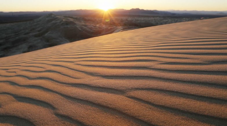 2020 Was 8th Warmest Year Since 1901, Past Two Decades Saw Highest Temperature Rise: IMD