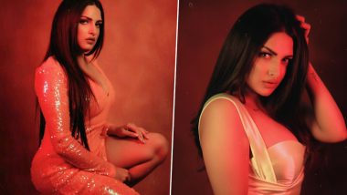 Himanshi Khurana Birthday: Sizzling Photos of this Bigg Boss 13 Contestant That Will Make You Sing 'I Like It' (View Pics)