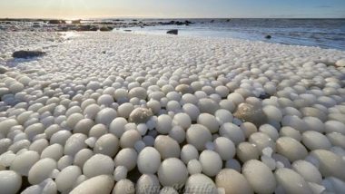 'Ice Eggs' Cover Finland Beach! Over Thousands of Tiny Snowballs Formed Due to Rare Weather Phenomenon (Check Viral Pics)