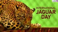 International Jaguar Day 2019 Date: Significance of The Day that Raises Awareness About Conserving the Wild Cats