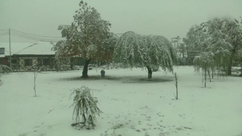 ‘Chilai-Kalan’, 40-Days of Harshest Winter, Begins in Kashmir With Snowfall in Valley’s Upper Reaches