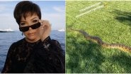 Anaconda in Kim Kardashian's Backyard! Kris Jenner Shares Video of The Massive Snake From Her Daughter's LA House
