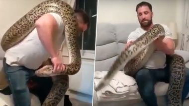 Is This The World's Biggest Burmese Python? Meet 18-Foot-Long Pet Snake Hexxie From England Who Lives With Another Serpent and a Dog (Watch Video)