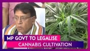 Madhya Pradesh: Government To Legalise Cannabis Cultivation In State, Says Law Minister PC Sharma