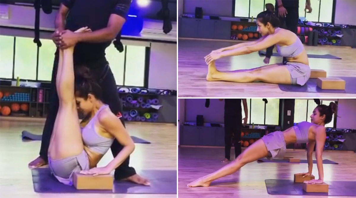 Malaika Arora's Latest Video Doing Yoga Is a Perfect Dose of Motivation To  Get Through The Week! | 🎥 LatestLY