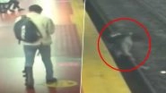 Man Busy On Phone Slips And Falls Onto Buenos Aires Railway Tracks in Argentina (Watch Video)