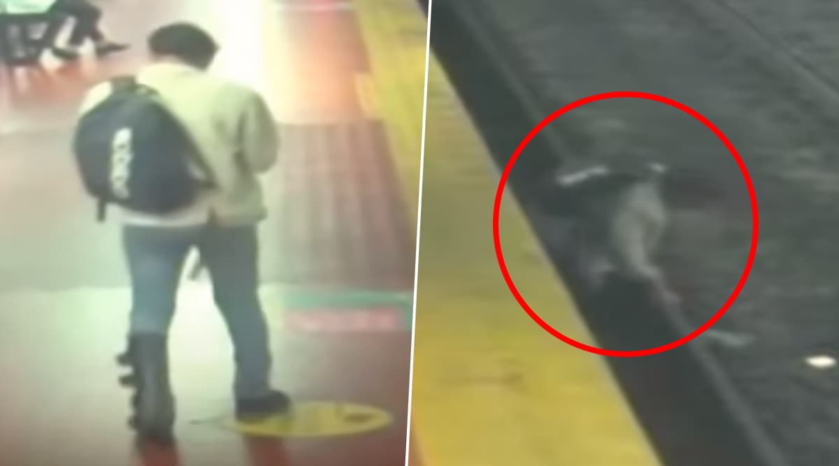 Man Busy On Phone Slips And Falls Onto Buenos Aires Railway Tracks in Argentina (Watch Video) Man Busy On Phone Slips And Falls Onto Buenos Aires Railway Tracks in Argentina (Watch Video)