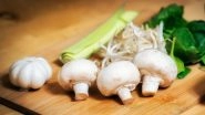 From Mushroom to Eggs, 7 Surprising Foods You Didn&rsquo;t Know Could Kill You!